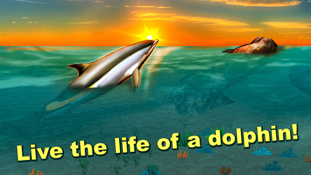 免費下載遊戲APP|Sea Simulator: Dolphin 3D Free app開箱文|APP開箱王