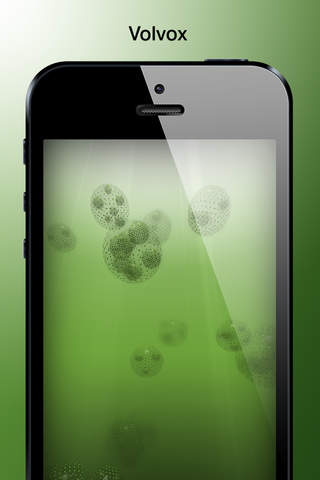 PhytoPlankton screenshot 3