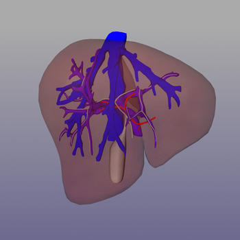 Liver Surgery Planner LOGO-APP點子