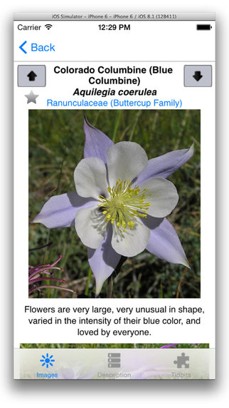 【免費書籍App】Colorado Rocky Mountain Wildflowers and Other Plants-APP點子