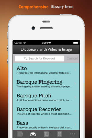 Recorder Self Learning Handbook: Quick Reference with Graphics and Video Lessons screenshot 3