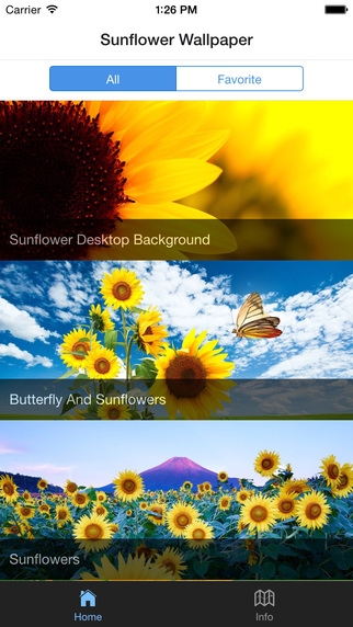 免費下載教育APP|Sunflower Wallpaper app開箱文|APP開箱王
