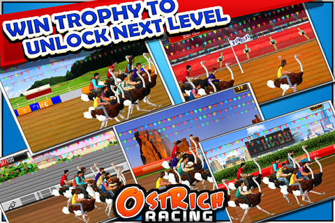 Ostrich Racing Simulator screenshot 3