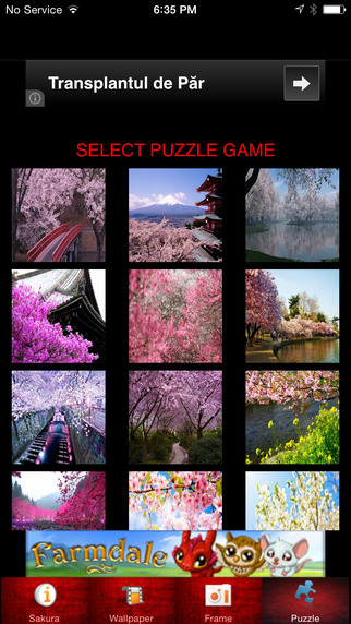 Sakura Live Wallpaper+Frame Cherry Blossom