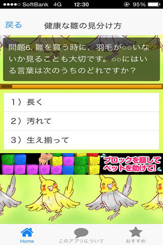 インコのクイズ screenshot 2