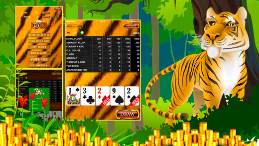 免費下載遊戲APP|Tiger Poker Temple - Video Poker app開箱文|APP開箱王