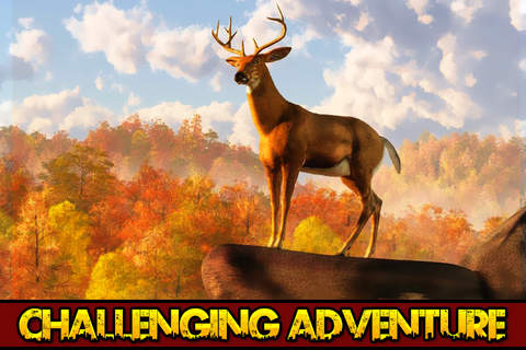 2016 Deer Hunter Pro Challenge : African White Tail Hunting season screenshot 3