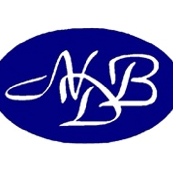 NDB Insurance LOGO-APP點子