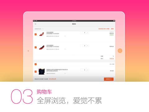 iPad Screenshot 4