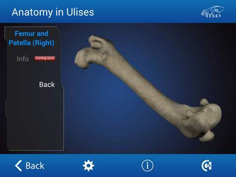 【免費醫療App】Osteology in Dogs-APP點子