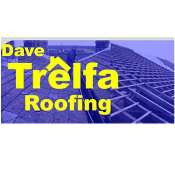 Dave Trelfa Roofing LOGO-APP點子