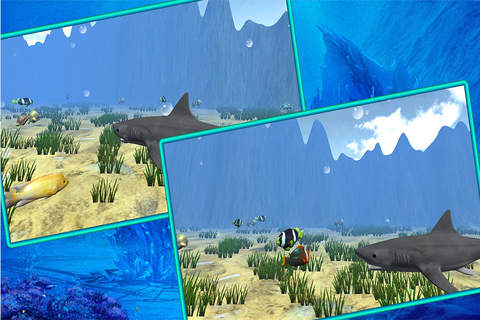 Feed The Fish - Shark Edition screenshot 3