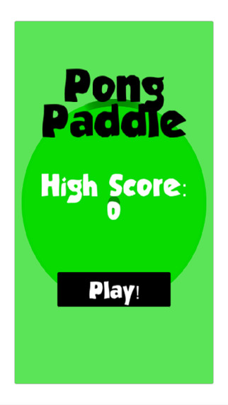Pong Paddle
