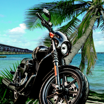 Petersons Poker Run LOGO-APP點子