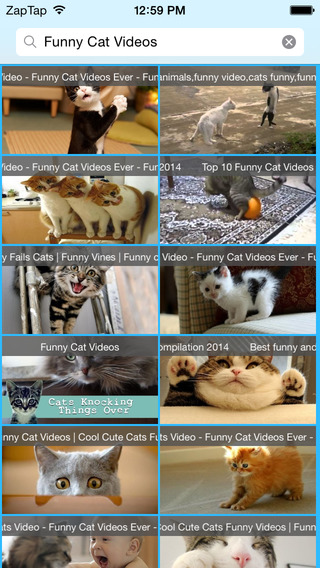 CatTV - Cat Videos
