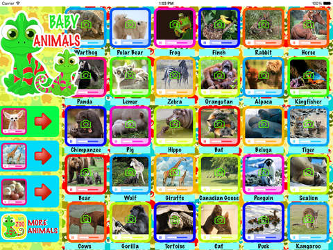 Baby Animals - Learn Animal Names