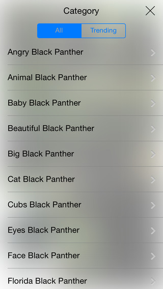 免費下載生活APP|Black Panther Wallpapers - Download Animal Backgrounds for Your iPhone app開箱文|APP開箱王