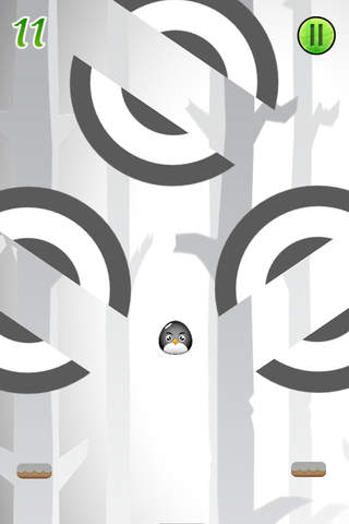 Bouncy Black Bird Adventure screenshot 2