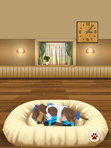My Dog My Room HD Premium screenshot 3