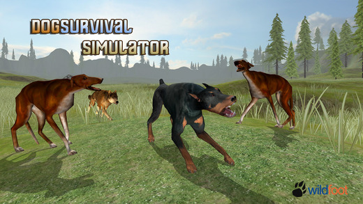 Dog Survival Simulator