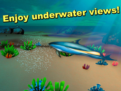 免費下載遊戲APP|Sea Simulator: Dolphin 3D Full app開箱文|APP開箱王