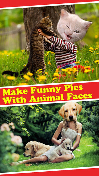 Funny Animal Faces Stock - Picture Resizer With Famous Animals Heads Face Masks Free