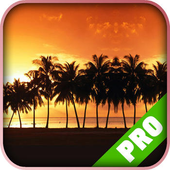 Game Pro - Dead Island Version 遊戲 App LOGO-APP開箱王