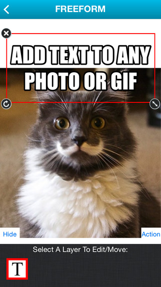 【免費娛樂App】Pictophile - meme generator lol pics gif captioner-APP點子