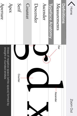 Typography Insight for iPhone screenshot 4