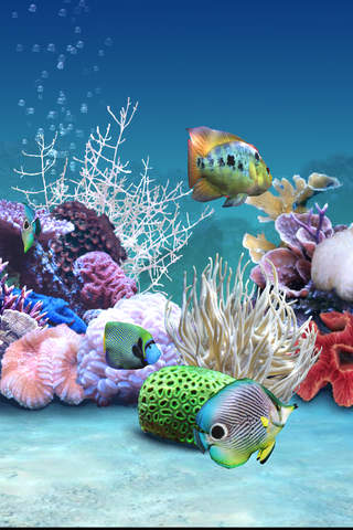 Dream Aquarium live HD - Joy Fish Tank Marine Ocean School & Virtual Zen Fishes Tour screenshot 3