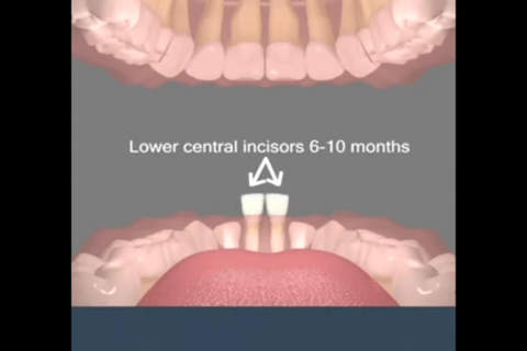 Dental Health. screenshot 4