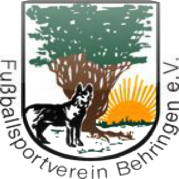 FSV 1968 Behringen e.V. LOGO-APP點子