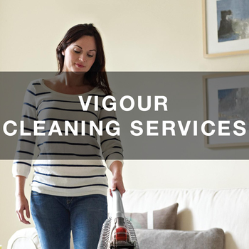 VIGOUR CLEANING SERVICES LOGO-APP點子