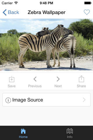 Zebra Wallpaper screenshot 2
