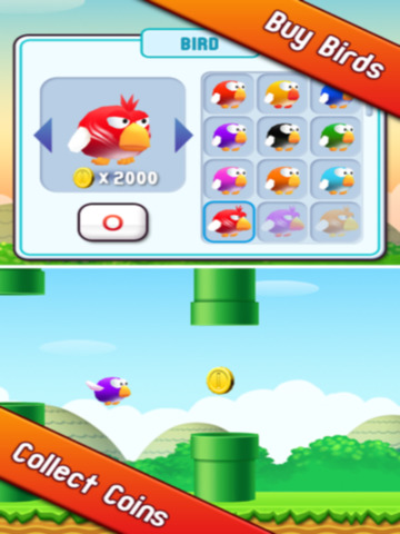 【免費遊戲App】Stupid Bird - World's Best Game-APP點子