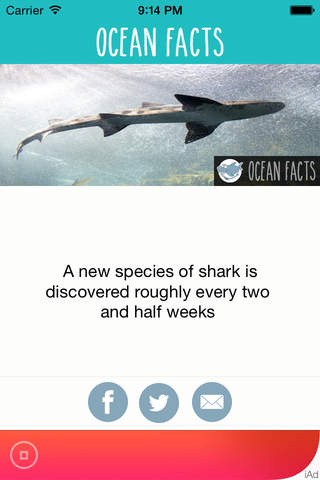 Ocean-Facts screenshot 3