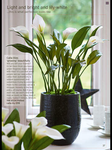 Bloom Catalogue screenshot 2
