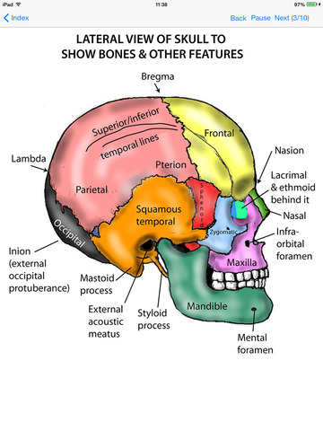 【免費醫療App】Anatomy Lectures Head and Neck-APP點子