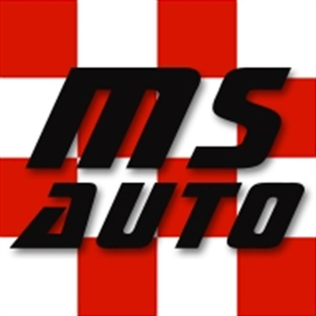 MS AUTO LOGO-APP點子