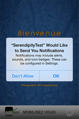Serendipity screenshot 3