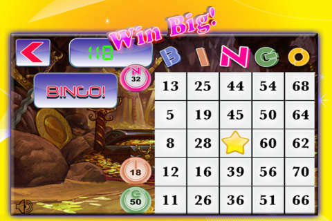 Bingo Gold Adventure screenshot 3
