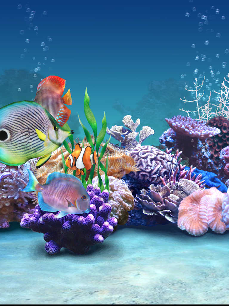 best aquarium screensaver 2015