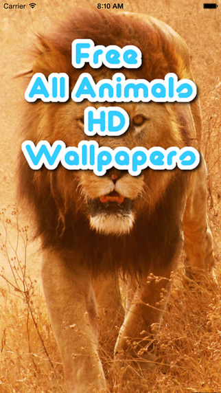 All Animals Wallpapers