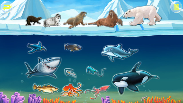 Amazing Ocean Animals- Educational Learning Apps for Kids