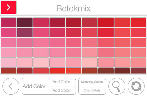 Betek Color Studio screenshot 2