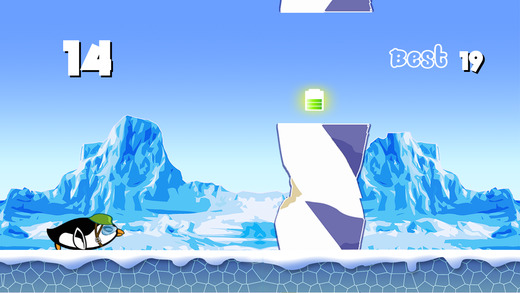 Angry Penguin Racing Madness Pro - Cool bird race adventure