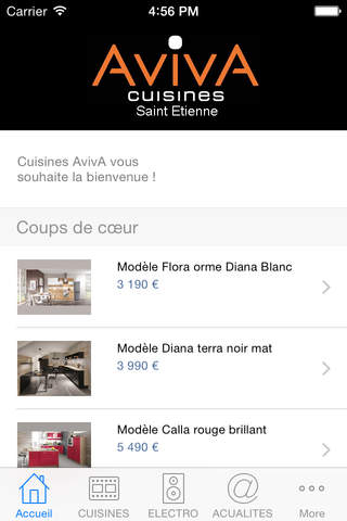 Aviva Cuisines Saint-Etienne screenshot 4