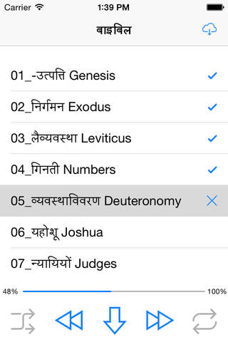 Hindi Bible (audio) screenshot 2