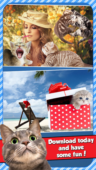 【免費娛樂App】InstaKitty - A Funny Picture Editor with Cute Cats and Kitties Stickers-APP點子