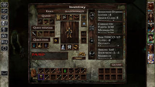 Icewind Dale: Enhanced Edition iPhone